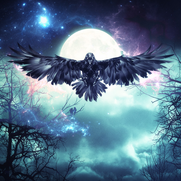 Artwork of Raven without typography